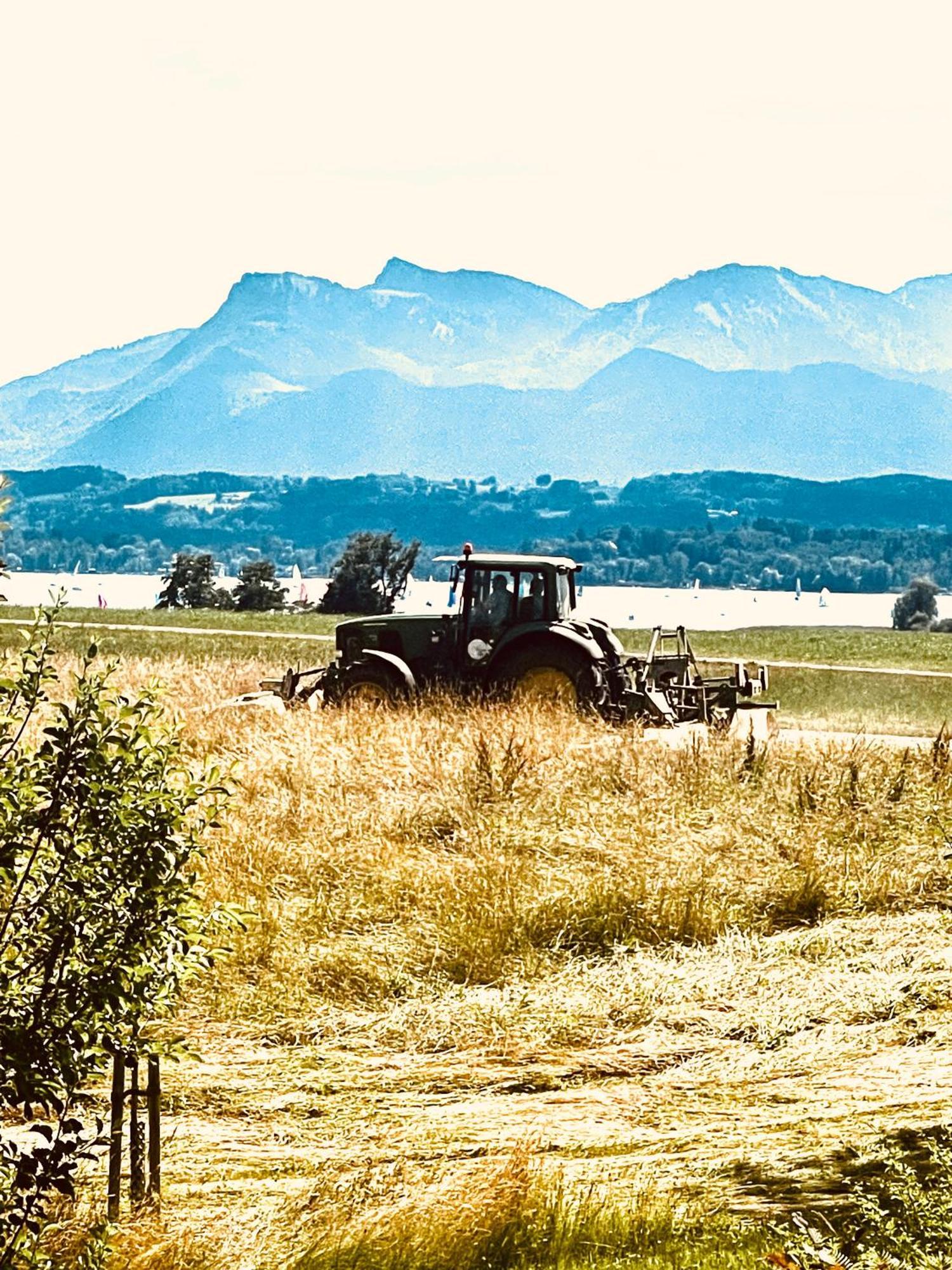 Zuhaeusl Am Chiemsee Appartements Breitbrunn am Chiemsee Kültér fotó